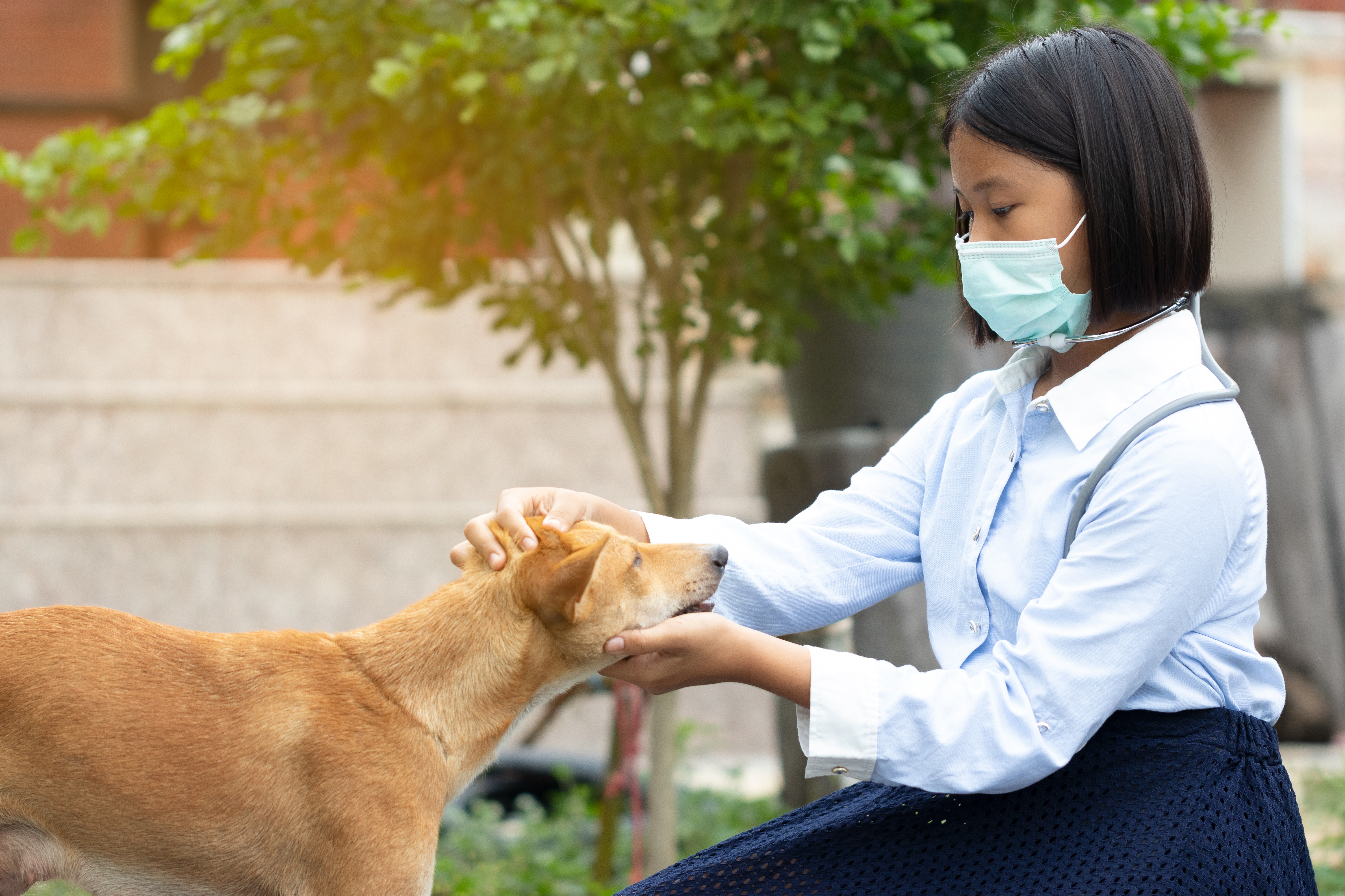 Advanced Pain Management in Root Canal Therapy - Practical Solutions